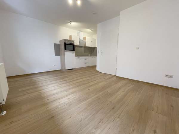 Schickes 1-Zimmer Appartement mit Einbauküche in der Mainzer Neustadt — Bild 2 von 10