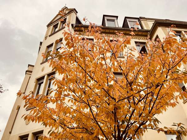 3-Zimmer Altbauwohnung mit zwei Balkonen - Ihr neues Zuhause zum Wohlfühlen! — Bild 11 von 13