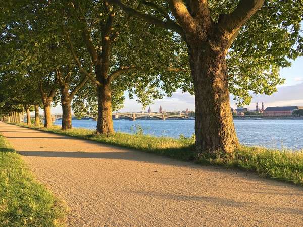 Wohn- & Geschäftshaus in beliebter und zentraler Lage von Mainz-Kastel! — Bild 6 von 25