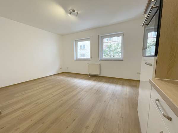 Schickes 1-Zimmer Appartement mit Einbauküche in der Mainzer Neustadt — Bild 3 von 10
