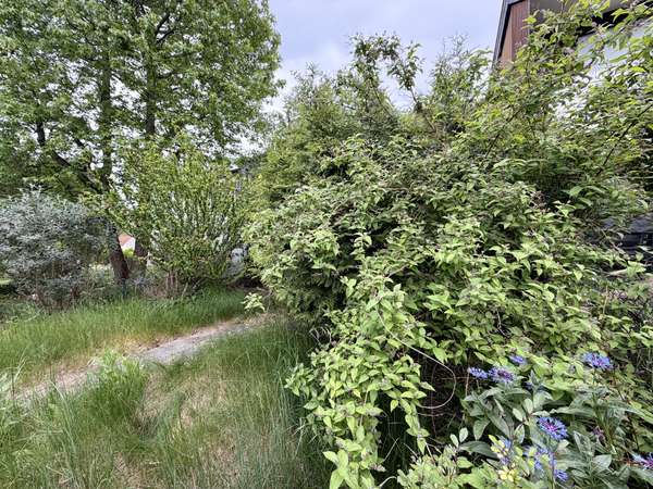 Viel Platz für Familienleben – Reihenmittelhaus mit Gartenidylle in Mainz-Finthen — Bild 30 von 35