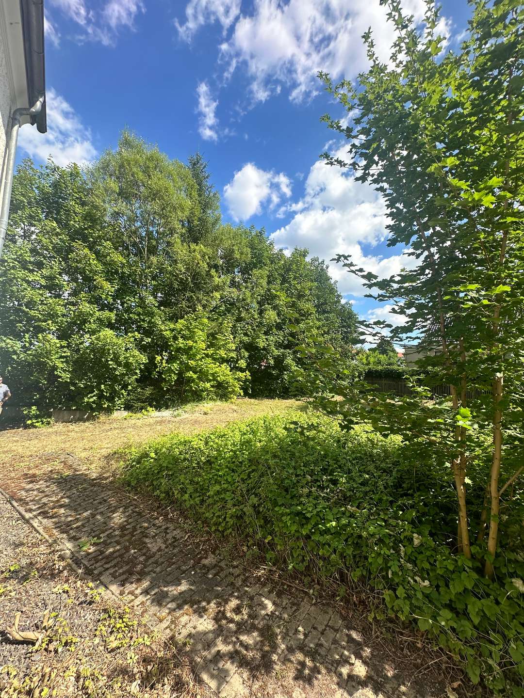 Sanierungsobjekt mit Zukunft – 6 Wohneinheiten, KfW-fähig mit genehmigter Balkonanlage – Bild 2