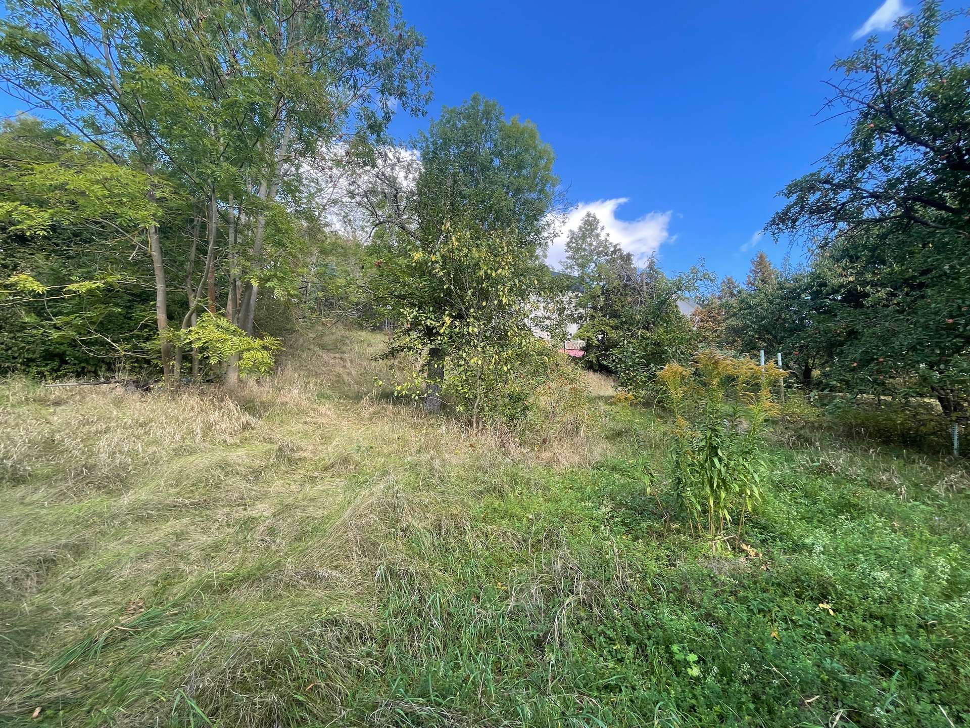 Natur und Stadt vereint: Das ideale Grundstück für Ihr Bauprojekt – Bild 3